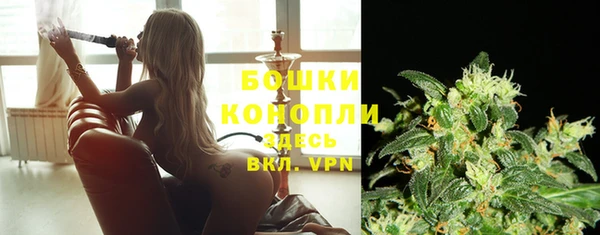 дурь Бронницы