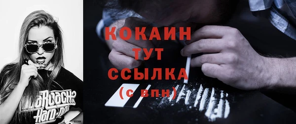 ALPHA PVP Бородино