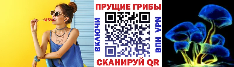 Галлюциногенные грибы Psilocybine cubensis  Купить где  Воркута 